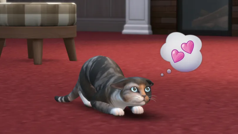 Cat in The Sims 4