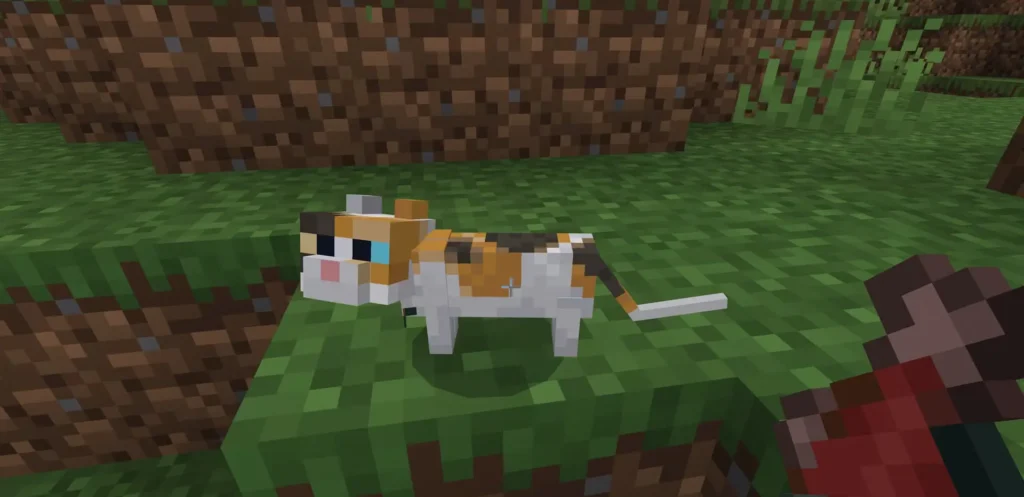 Tame a Cat in Minecraft Bedrock