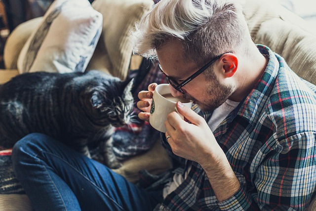 Can Cats Wear Glasses