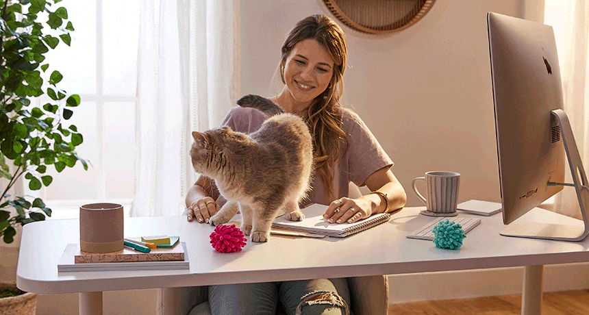 Cats Push Their Butt Into Your Face