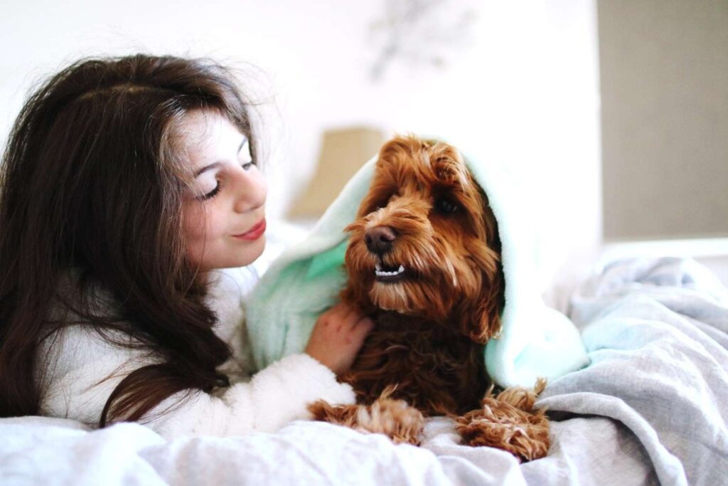 Dog Hair Off a Comforter